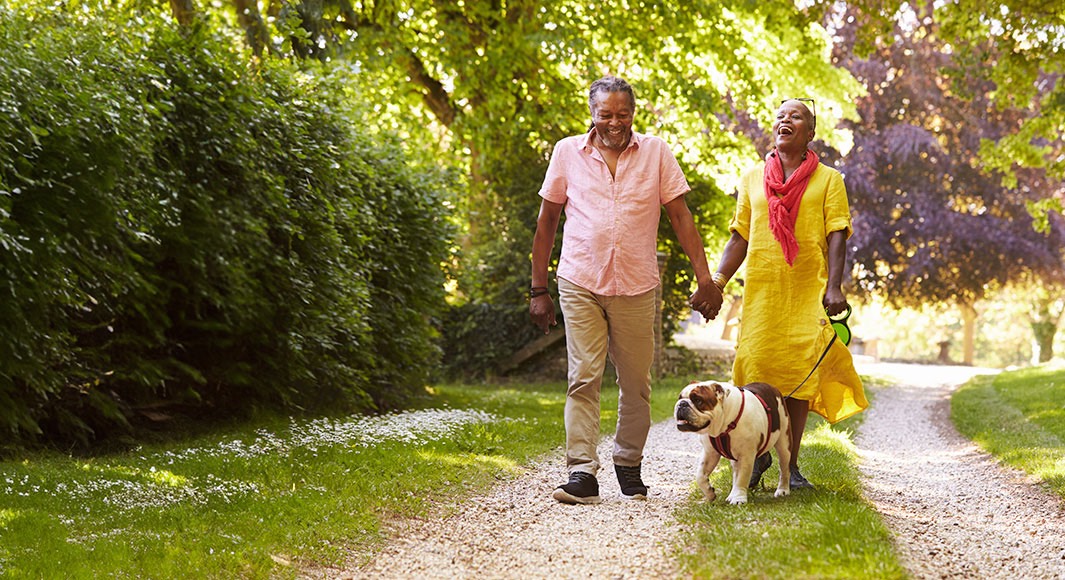 Older couple walking their dog in the sunshine
